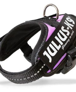 Julius k9 power-harnas/tuig voor labels roze