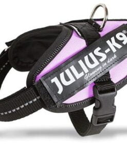 Julius k9 power-harnas/tuig voor labels roze