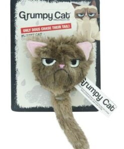 Grumpy cat fluffy grumpy cat met catnip