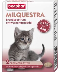 Beaphar milquestra kleine kat / kitten (2 tbl)