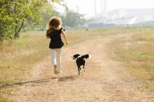 hartslag hond