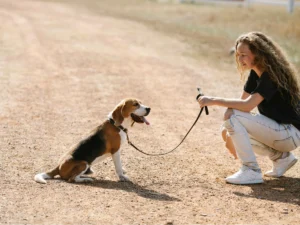 Een beagle en zijn baasje